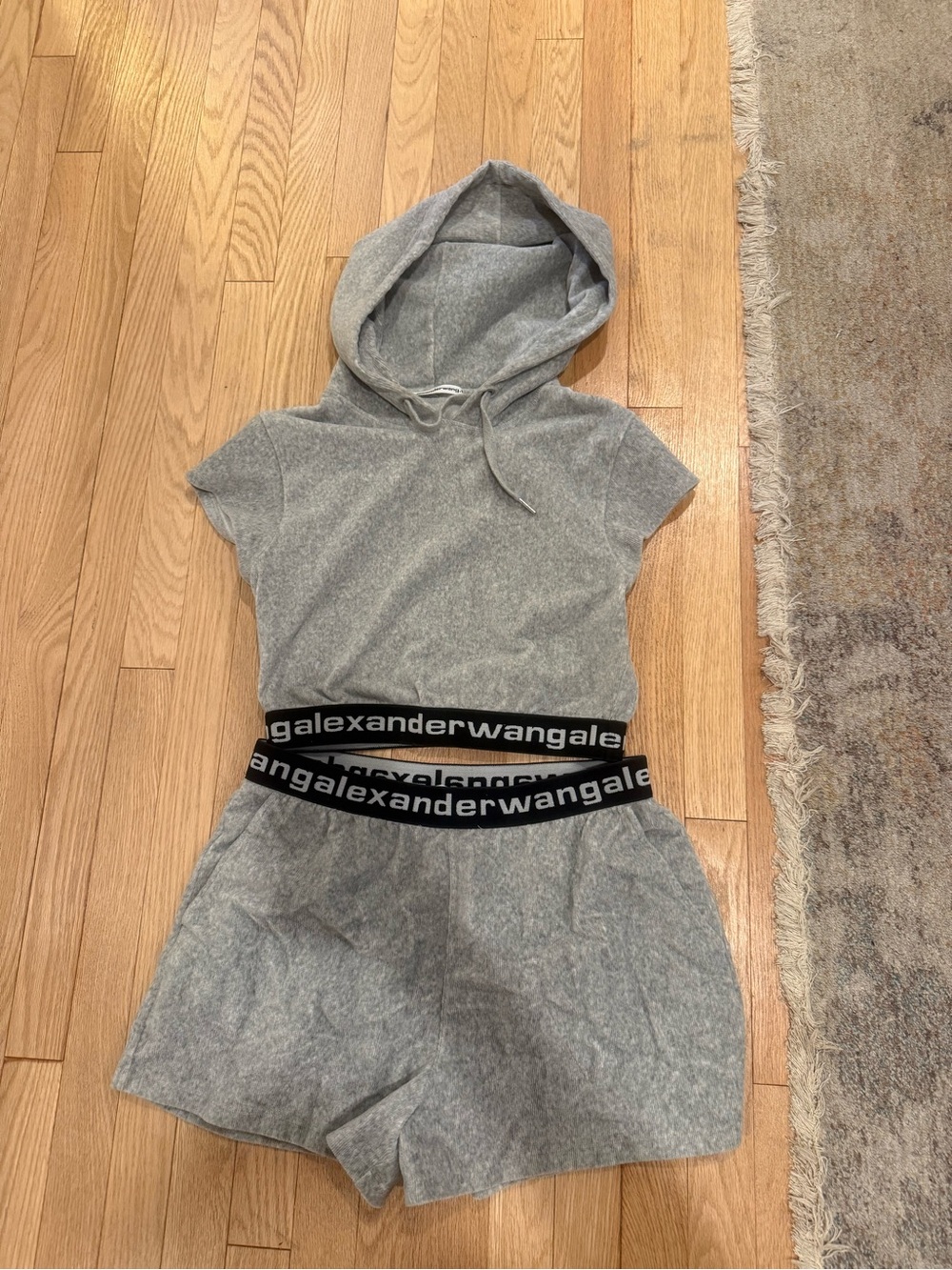 Alexander Wang Gray Two-Piece Hooded Top and Shorts Set